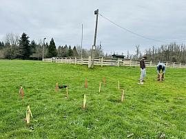Placing survey stakes